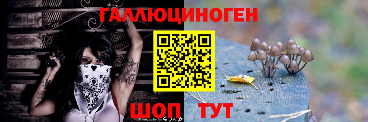 Обнинск  Псилоцибиновые грибы мицелий  где купить   Вход с VPN 